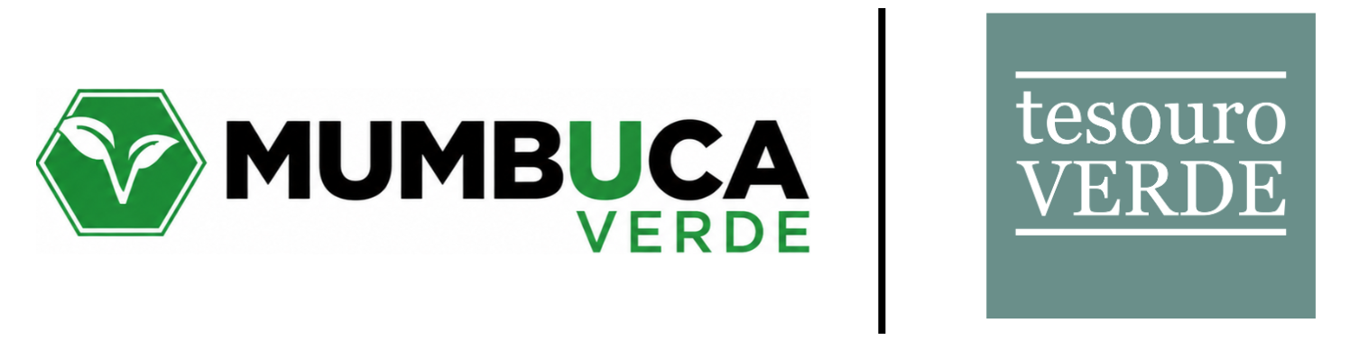 Programa Mumbuca